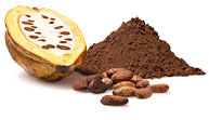 Cacao Chocolate Ibercacao