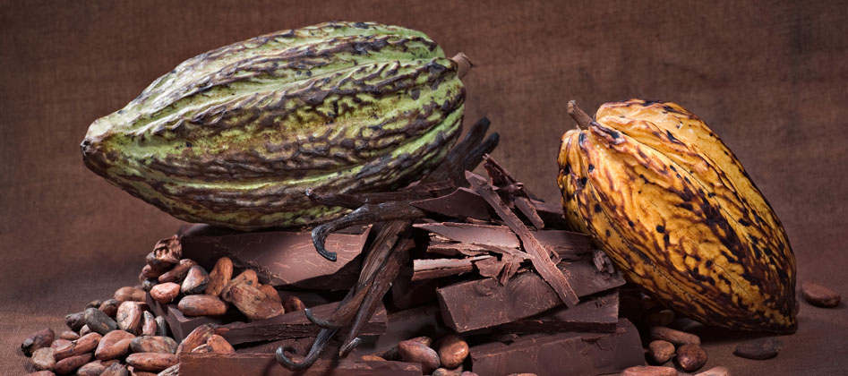 Chocolates Ibercacao Cacao